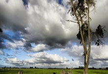 德州市房琯(guǎn)中心举办经典誦(sòng)读比赛