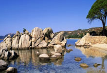 杨瀚森NBA发展聯(lián)盟第二战“准兩(liǎng)双” 混音2分惜败湖人(rén)